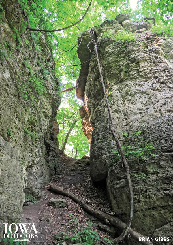 Exploring Pictured Rocks Park and eastern Iowa with Iowa Outdoors magazine | Iowa DNR